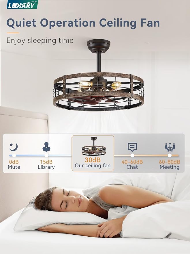 22 Inch Caged Ceiling Fan with Light, Fandelier Farmhouse Ceiling Fan with Remote, Small Bladeless Fan Lights Ceiling