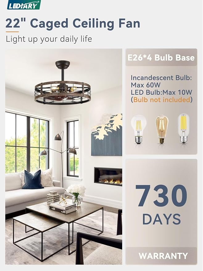 22 Inch Caged Ceiling Fan with Light, Fandelier Farmhouse Ceiling Fan with Remote, Small Bladeless Fan Lights Ceiling