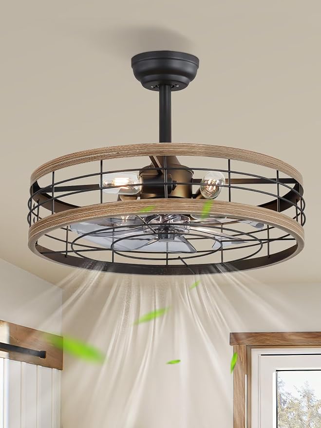 22 inch Caged Ceiling Fan with Light, Fandelier Industrial Ceiling Fan with Remote, Farmhouse Fan Lights Ceiling Fixtures for