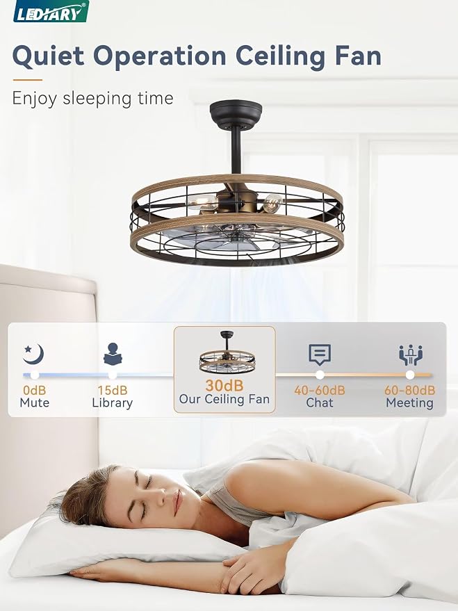 22 inch Caged Ceiling Fan with Light, Fandelier Industrial Ceiling Fan with Remote, Farmhouse Fan Lights Ceiling Fixtures for