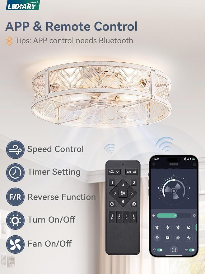 23" Caged Ceiling Fan with Light, Large Flush Mount, App&Remote Control, Low Profile Bladeless Fan Light Fixture 6 Speed
