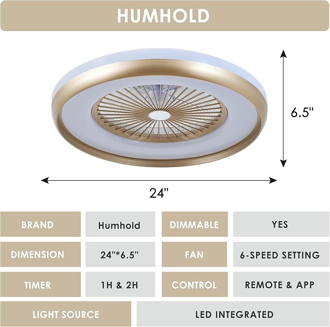 24" Bladeless Ceiling Fan with Light Remote, Smart LED Ceiling Fans with App Control, Modern Low Profile Dimmable Light