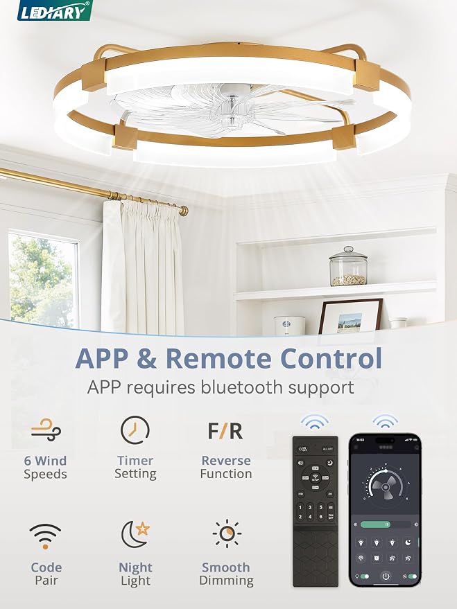 24" Ceiling Fans with Lights and Remote, Modern Low Profile Ceiling Fan, 3 CCT, Stepless Dimmable, Fandelier Flush Mount Fan