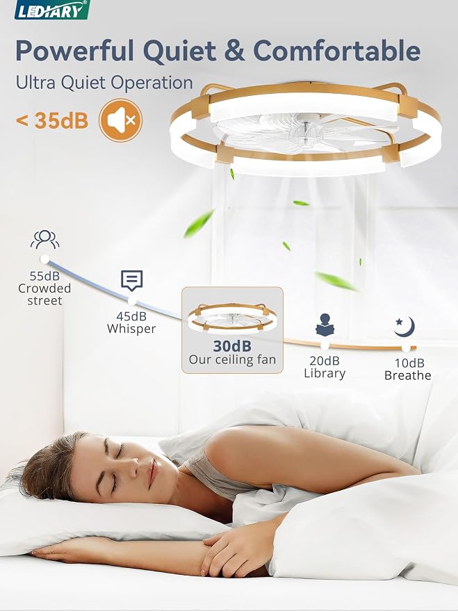 24" Ceiling Fans with Lights and Remote, Modern Low Profile Ceiling Fan, 3 CCT, Stepless Dimmable, Fandelier Flush Mount Fan