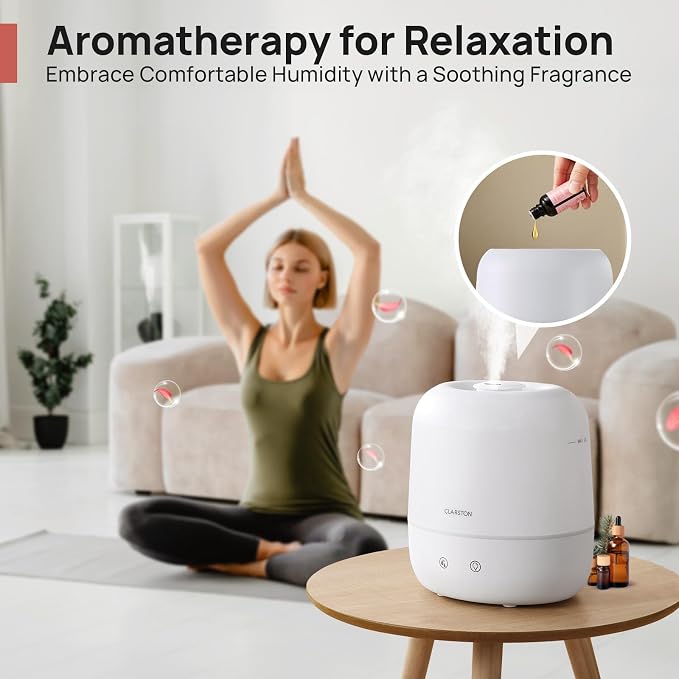 2L Cool Mist Humidifier for Bedroom with 360° Adjustable Nozzle, High and Low Mist Levels, Ultra-Low Noise, Light-Off, No