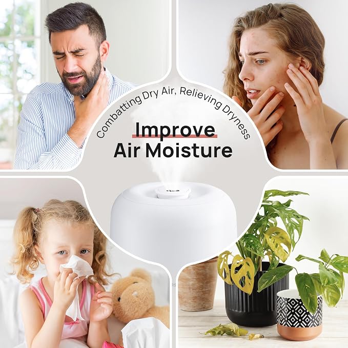 2L Cool Mist Humidifier for Bedroom with 360° Adjustable Nozzle, High and Low Mist Levels, Ultra-Low Noise, Light-Off, No