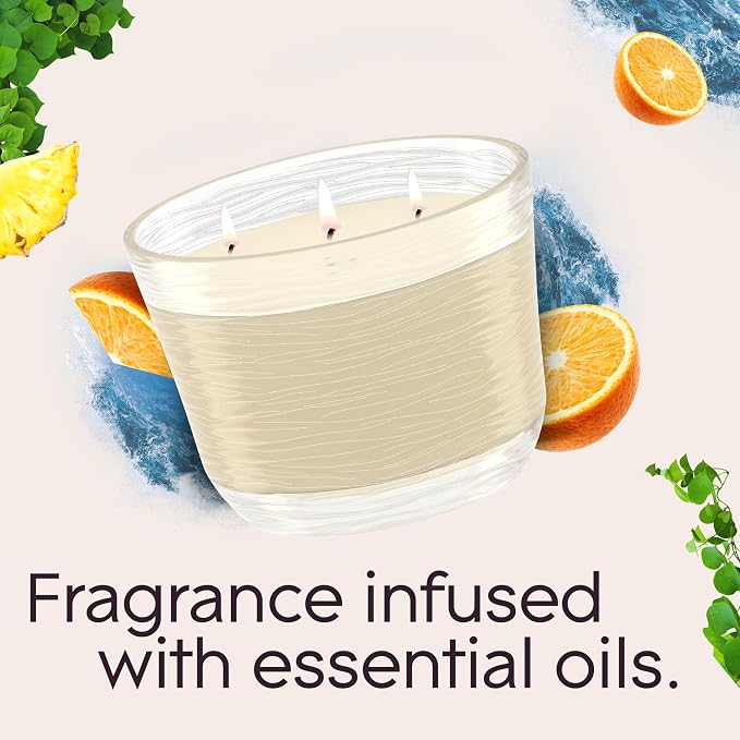 3-Wick Scented Candle Jar, Coastal Sunshine Citrus, Air Freshener Infused with Essential Oils, 6.8 Oz, 3 Count 3 Count 6.8 Oz