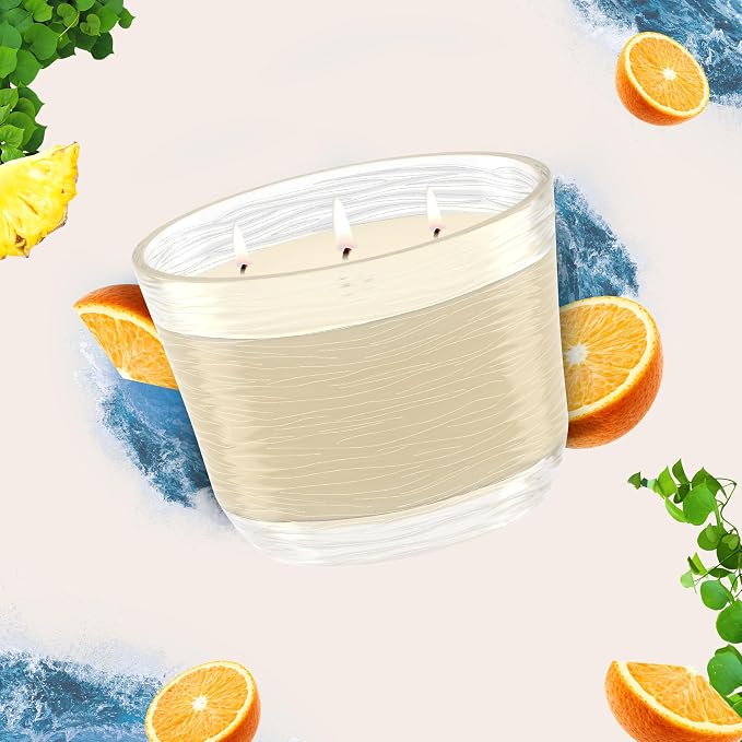 3-Wick Scented Candle Jar, Coastal Sunshine Citrus, Air Freshener Infused with Essential Oils, 6.8 Oz, 3 Count 3 Count 6.8 Oz