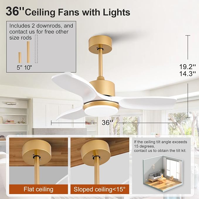 36 Inch White and Gold Ceiling Fans with Lights and Remote, 3 Blade Wood Ceiling Fan with Light, Dimmable, Memory Function
