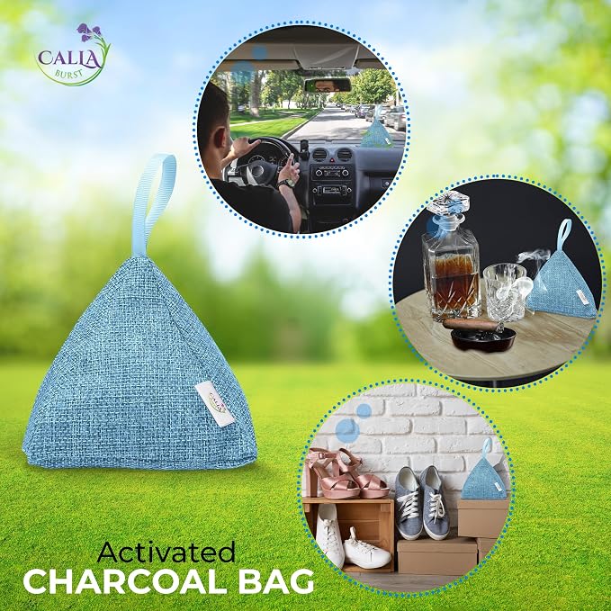 4 Pack Bamboo Charcoal Air Purifier Bags 200 Grams Each - Activated Charcoal Odor Absorber for Car, Pets & Closet, alternate