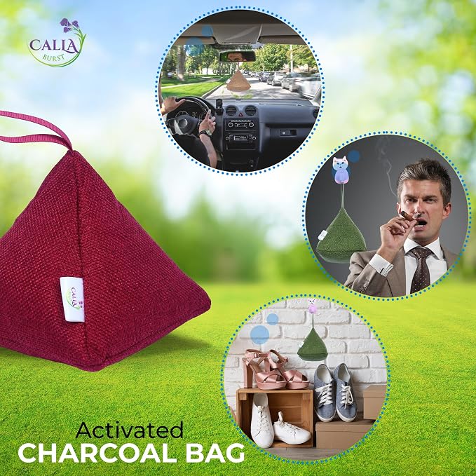 4 Pack Bamboo Charcoal Air Purifier Bags 200 Grams Each - Activated Charcoal Odor Absorber for Car, Pets & Closet, alternate