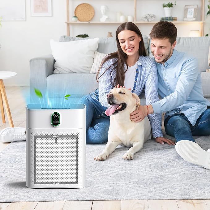 4 Pack HY4866 True HEPA Replacement Filters Compatible with HY4866 Air Purifier, alternate product view 6