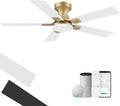 42inch Smart Low Profile Ceiling Fan with Lights Remote,Quite DC Motor,WiFi Voice Control via Alexa,Outdoor Indoor Modern