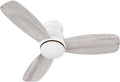 44 Inches White Ceiling Fan with Light Flush Mount, DC 10 Speeds Silent Ceiling Fan with Remote, 3 Dual Finish Blades, 3