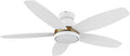 48" Ceiling Fan with Light Flush Mount, DC 10 Speeds Silent Ceiling Fan with Remote, 3 Light Colors Dimmable LED, Low Profile