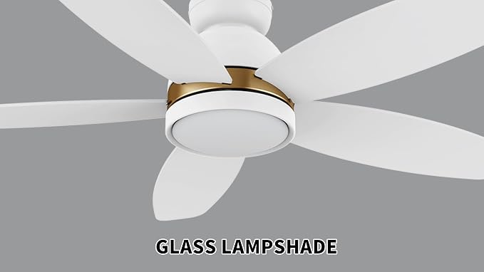 48" Ceiling Fan with Light Flush Mount, DC 10 Speeds Silent Ceiling Fan with Remote, 3 Light Colors Dimmable LED, Low Profile