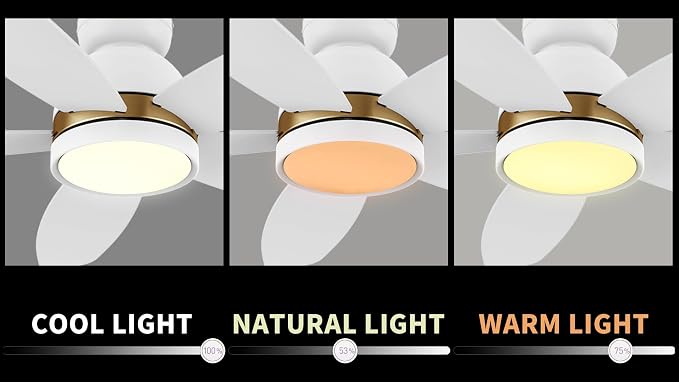 48" Ceiling Fan with Light Flush Mount, DC 10 Speeds Silent Ceiling Fan with Remote, 3 Light Colors Dimmable LED, Low Profile
