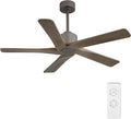 48" DC Ceiling Fan No Light - 5 Carved Solid Wood Blades, 6-Speed Reversible DC Motor, Ceiling Fan without Lights for Living