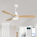 48 Inch Smart Ceiling Fans with Lights-Flush Mount & Downrod Mount Modern Outdoor Ceiling Fans with Alexa/Google