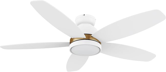 48" Low Profile Ceiling Fan with Dimmable LED Light, Modern Flush Mount Ceiling Fan with reversible DC motor, Controlled by