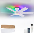52" Ceiling Fans with RGB Lights, Low Profile Ceiling Fan with Remote/APP Control, Flush Mount, Double-Sided 6 Reversible