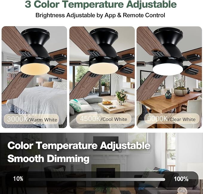52 inch Ceiling Fans with Lights,Low Profile Ceiling Fan with Remote Control and App, Double-sided Fan Blades, 3CCT Dimmable