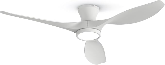 52 inch Ceiling Fans with Lights Remote Control, Modern Low Profile Ceiling Fan with Quiet Reversible DC Motor for Bedroom