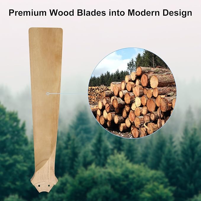 52 Inch Flush Mount Ceiling Fan with Lights, Low Profile Modern Ceiling Fan with Remote, Quiet DC Motor, 6-Speed, 3CCT,Timer