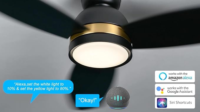 52" Low Profile Ceiling Fan with Dimmable LED Light, Modern Ceiling Fan with reversible DC motor, Controlled by APP, Remote