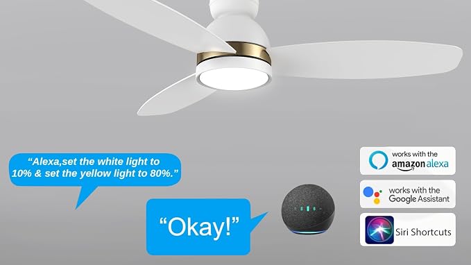 52" Low Profile Ceiling Fan with Dimmable LED Light, Modern Ceiling Fan with reversible DC motor, Controlled by APP, Remote