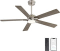 52" Smart Ceiling Fan with Lights, 5 Plywood Blades, 6 Speeds Reversible DC Motor, Works with Alexa and Google Assistant