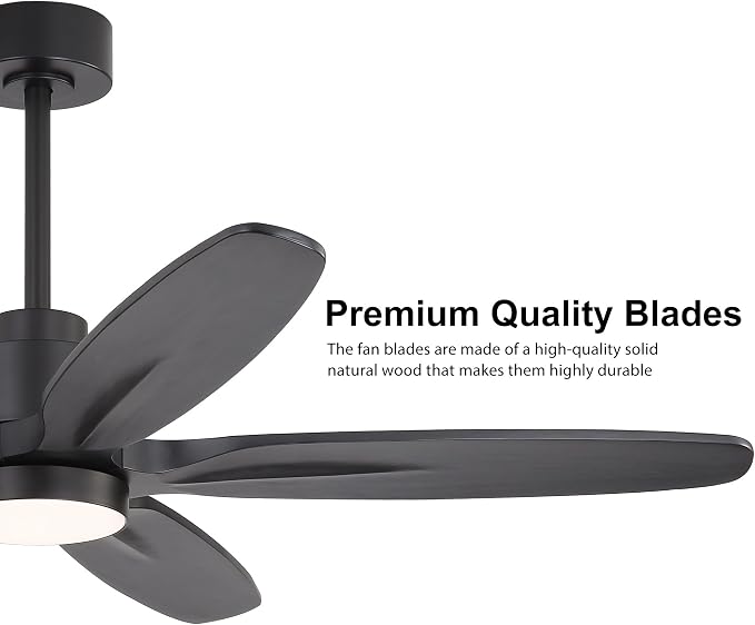 54" Ceiling Fan with Light - 5 Carved Solid Wood Blades, 6-Speed Reversible DC Motor, Dimmable, 3CCT, Noiseless Remote