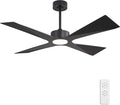 54" Wet Rated Outdoor Ceiling Fan with Lights, 4 ABS Plastic Blades, Reversible DC Motor, 6-Speed Remote Control, 3 CCT