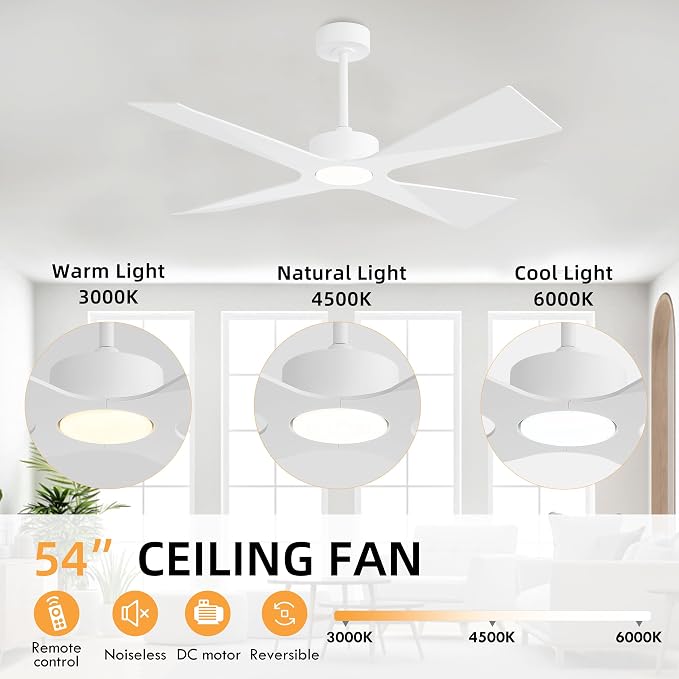 54" Wet Rated Outdoor Ceiling Fan with Lights, 4 ABS Plastic Blades, Reversible DC Motor, 6-Speed Remote Control, 3 CCT