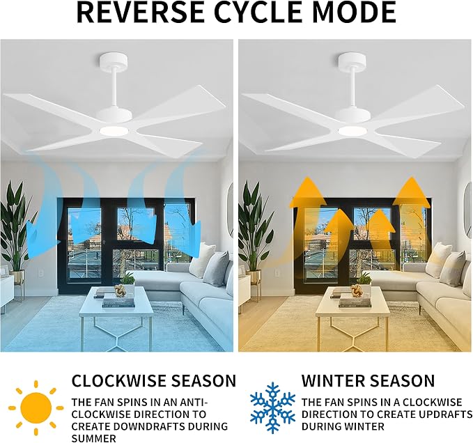 54" Wet Rated Outdoor Ceiling Fan with Lights, 4 ABS Plastic Blades, Reversible DC Motor, 6-Speed Remote Control, 3 CCT