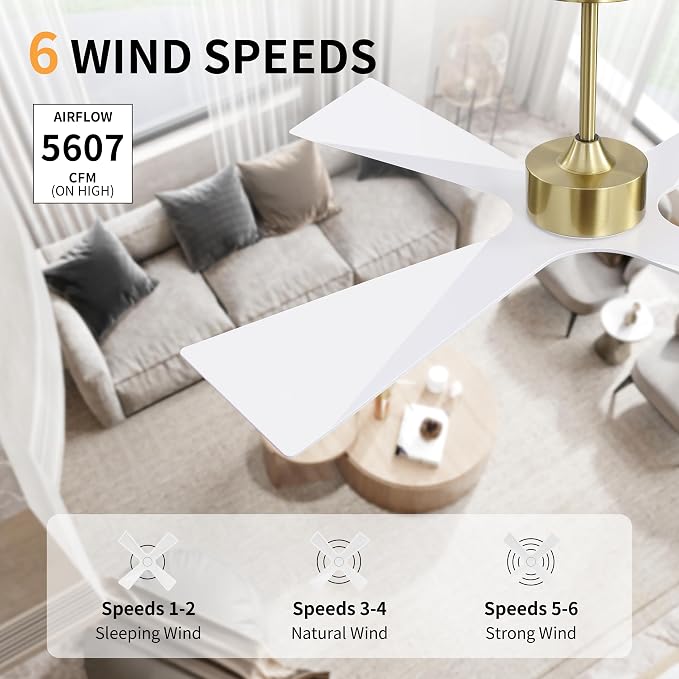 54" Wet Rated Outdoor Ceiling Fan with Lights, 4 ABS Plastic Blades, Reversible DC Motor, 6-Speed Remote Control, 3 CCT