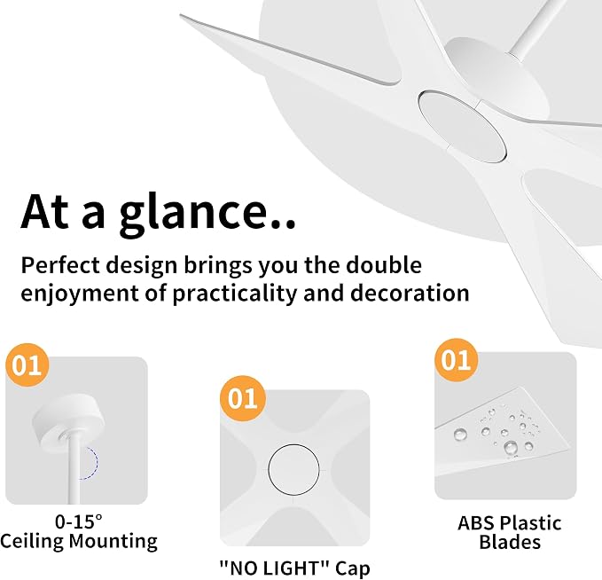 54" Wet Rated Outdoor Ceiling Fan without Lights, 4 ABS Plastic Blades, Reversible DC Motor, 6-Speed Remote Control