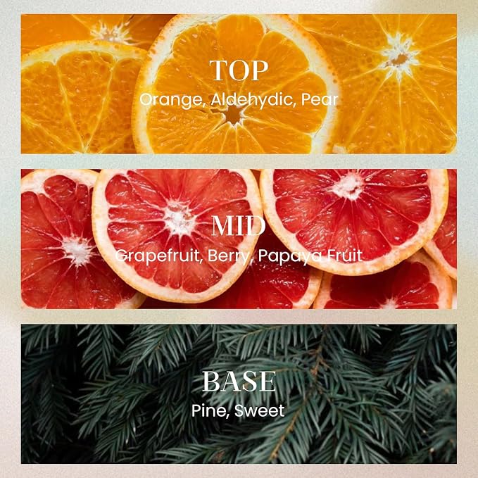6.3 oz Large Reed Diffuser Set | Orange Goji Scent Oil Diffuser with Sticks | Hotel Collection made from natural materials