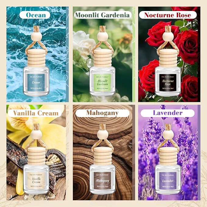 6 Pack Car Air Freshener - Valentines Day Gifts for Her, Hanging Air Freshener Essential Oil Diffuser, alternate product view