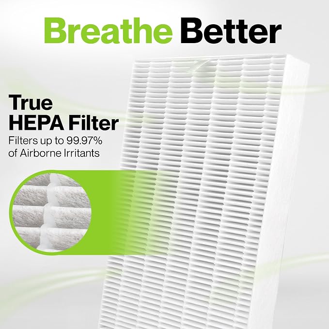 6 Pack of HEPA Filters Compatible with Air Purifier Replacement Filters, Replacement for Filter R, HEPA