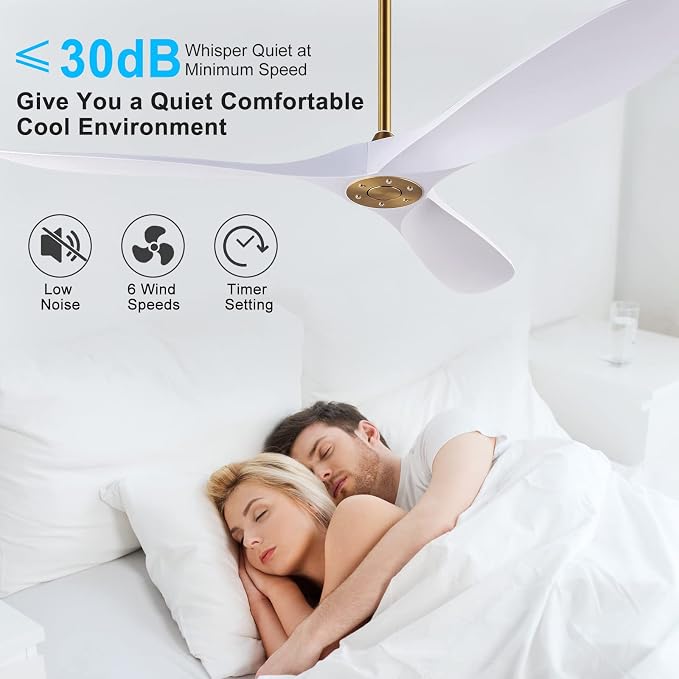 60" Ceiling Fan with Remote Control No Lights,Modern Reversible DC Motor Indoor Outdoor 3 Blades Ceiling Fans for Patio