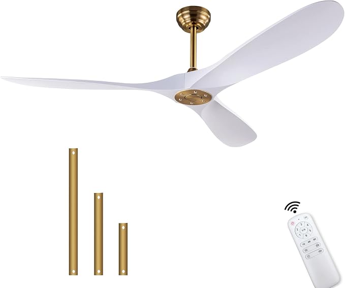 60" Ceiling Fan with Remote Control No Lights,Modern Reversible DC Motor Indoor Outdoor 3 Blades Ceiling Fans for Patio