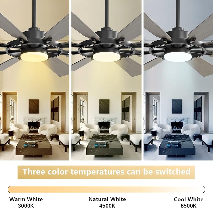 60 Inch Ceiling Fan with Lights and Remote Control, 8 Plywood Blades, 6-Speed Noiseless Reversible DC Motor, 3CCT, Windmill