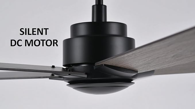 60 Inch Ceiling Fan without Lights, Black Ceiling Fan with Remote Low Profile, 10-Speed Reversible DC Motor, 5 Dual Finish