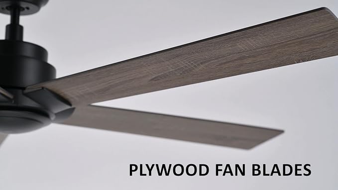 60 Inch Ceiling Fan without Lights, Black Ceiling Fan with Remote Low Profile, 10-Speed Reversible DC Motor, 5 Dual Finish