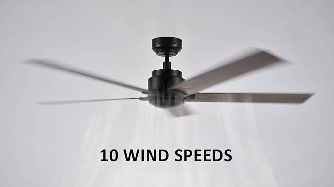 60 Inch Ceiling Fan without Lights, Black Ceiling Fan with Remote Low Profile, 10-Speed Reversible DC Motor, 5 Dual Finish