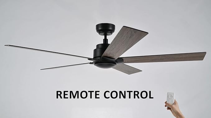 60 Inch Ceiling Fan without Lights, Black Ceiling Fan with Remote Low Profile, 10-Speed Reversible DC Motor, 5 Dual Finish