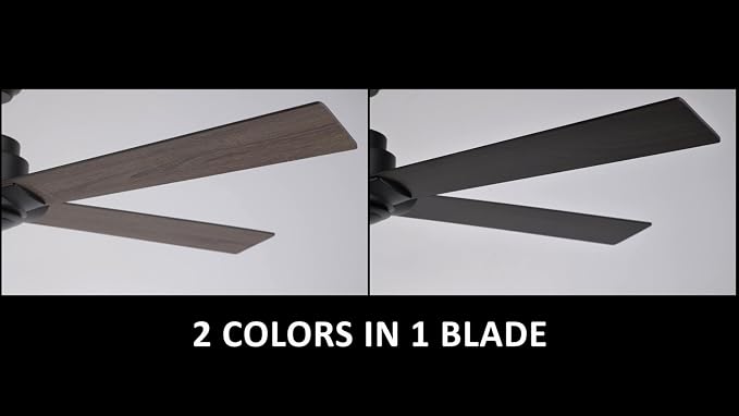 60 Inch Ceiling Fan without Lights, Black Ceiling Fan with Remote Low Profile, 10-Speed Reversible DC Motor, 5 Dual Finish