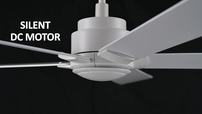 60 Inch Ceiling Fan without Lights, White Ceiling Fan with Remote Low Profile, 10-Speed Reversible DC Motor, 5 Dual Finish