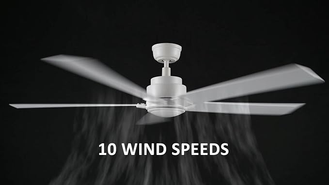 60 Inch Ceiling Fan without Lights, White Ceiling Fan with Remote Low Profile, 10-Speed Reversible DC Motor, 5 Dual Finish